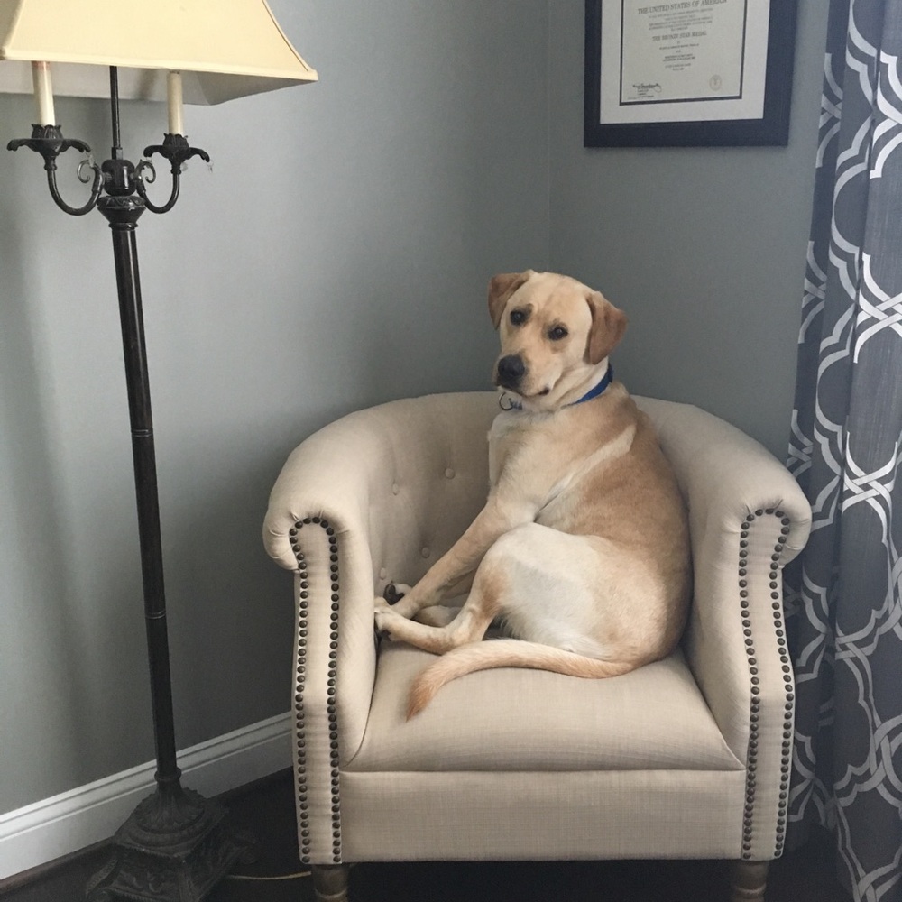 Meet your Posher, Ale